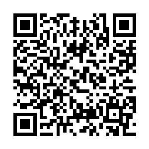 她的目光从澜水院门口停着的一顶四人抬的暖轿上掠过二维码生成