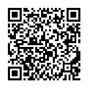 她的目的就是想弥补上一世与郎羽平错过的缘份二维码生成