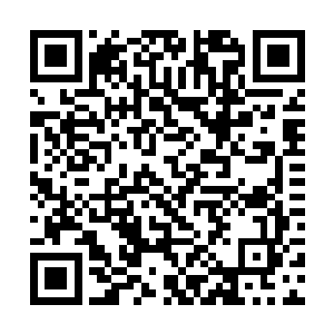 她的眼光会充满了一个年青妇人失望后的痛苦与怨望二维码生成