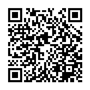 她的精神在尼曼匹克病恶化的阶段已经受到了重创二维码生成