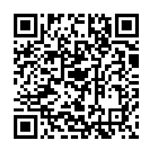 她的经商才能自然不是封闭在山窝窝里面的卢库酋长能比的二维码生成