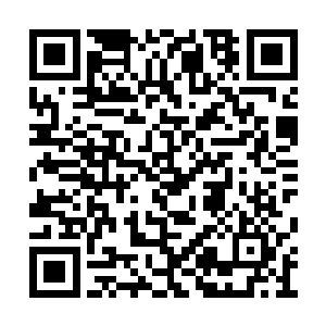 她的美丽确实不是瓦韦那拙劣的诗句所能形容的二维码生成