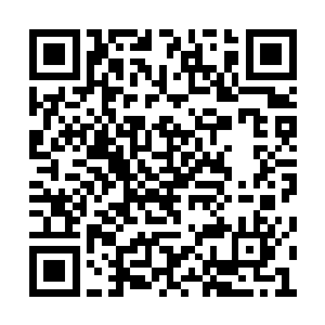 她的胆小只是因为厌恶惹事上身而做的妥协罢了二维码生成