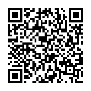 她的脆弱仅仅只是隐藏在北冰洋厚厚冰面之下的暗礁二维码生成