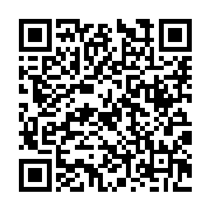 她的脸上不自觉的浮现了一个属于回忆当中的笑容二维码生成