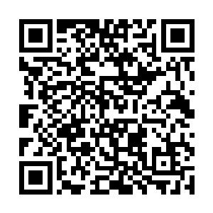 她的脸蛋轮廓已经渐渐接近双方第一次见面时的样子二维码生成