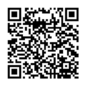 她的自尊心也不能容忍别人对自己有一丝一毫的怜悯二维码生成