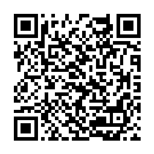 她的表现和那份角色报告完全不像是只有高中毕业二维码生成