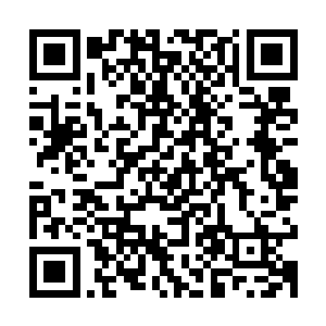 她的视线落在他后方那一群已然陷入幻觉无法清醒的侍卫身上时二维码生成