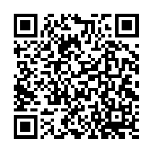 她的计划非但不会成功还会给自己在黎王府多添一个对手二维码生成