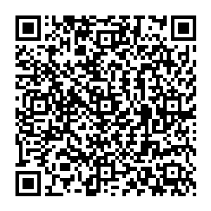 她的话很平静　甚至于可以说平淡无味　可是　就是这么一句话　却给了赵纯良一种深深孤独感二维码生成