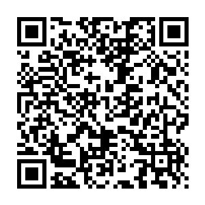 她的身体发生了一定的扭曲――可见门内世界的力场还是很强大的二维码生成
