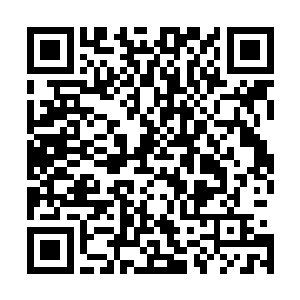 她的那张大嘴巴几乎将自己的来历告诉了墨府内的每一个人二维码生成