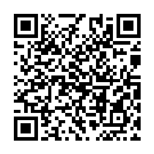 她的防护罩也在这个时候遭遇了我之前一样的冲击二维码生成