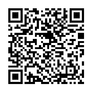 她的鼻端直接被一股掺杂在阴冷腐臭中的奇异清甜吸引了二维码生成