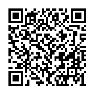 她目光痛苦的看向苍惶失措如同丧家犬的李溶月二维码生成