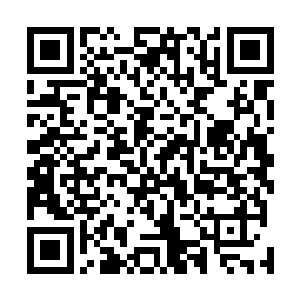 她目前的精力都关注在眼前这个七彩灵光笼罩的岛屿之上二维码生成