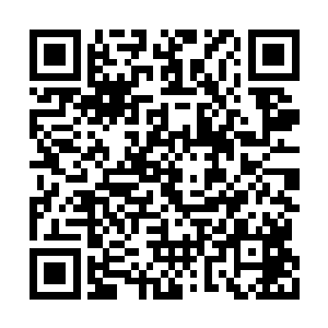 她目瞪口呆望向那个曾经将自己疼在手心的男子二维码生成