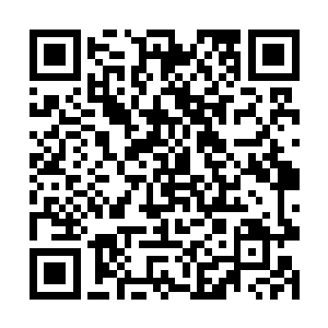 她相信天下无敌的马纵横定能像是以往那般逢凶化吉二维码生成