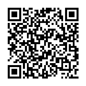 她相信有一天定会研制出各种不同的封印方法的二维码生成