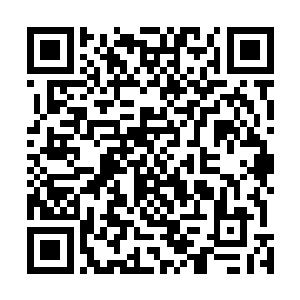 她相信每一个飞升修士的心里都有着对命运不公平的不甘二维码生成