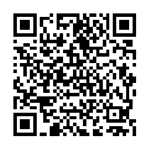 她看到他的薄唇缓缓的勾勒出了一抹艳丽的笑容二维码生成