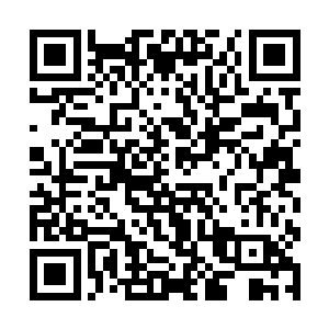 她看到林铭接过一个卖煎饼的大娘施舍来的一个煎饼二维码生成