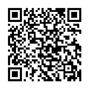 她看到眼镜男的表情和他敬礼的动作后就知道这个人来历不凡二维码生成