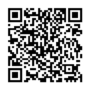 她看向了凉亭之外――足足上百人都聚集在凉亭外的草地上二维码生成