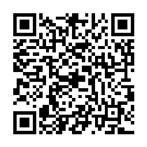 她看着两条小蛇将自己精心准备好的鸡肉兔肉一口吞进肚子二维码生成