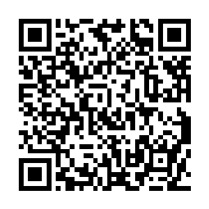 她看着脸色比以往红润了不少的睿儿不由得露出了几丝笑意二维码生成