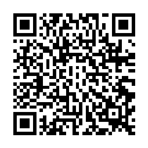 她看艾莉娜面对夏云杰的谦虚态度有点像是侍从管家之类的人二维码生成