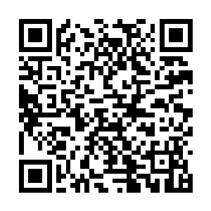 她真想掰开这个光头看看里面是不是全是糨糊做的二维码生成