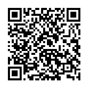 她真是怕极了这人用那种皮笑肉不笑的样子对着自己二维码生成