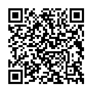 她真的很想看看沈婉晴对上这样一个美人谁会赢二维码生成