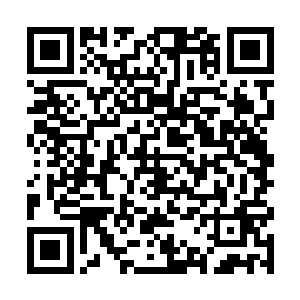 她真觉得自家白兰也不比隔壁的这个白兰a好多少二维码生成