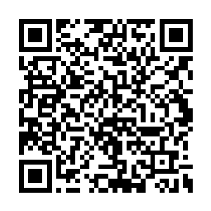 她知道――习剑之人在书画这方面很难有所成就二维码生成