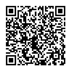 她知道以她现在的实力想要在自己眼皮子底下将仙府据为己有简直是痴人说梦二维码生成