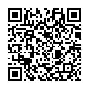 她知道典型的圣盟人是什么样子绝不会是你们的样子二维码生成