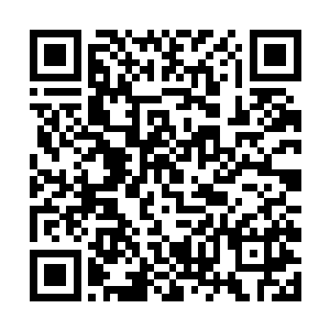 她知道木槿和宋辰砂都在看着她摆弄这些奇怪的数字二维码生成