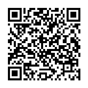 她知道白振东肯定在她接电话的工夫把神秘东西藏了起来二维码生成