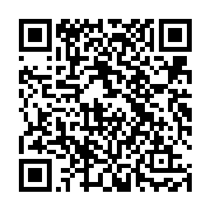 她知道自己品德除了做人的基本准则之外就是性格测试二维码生成