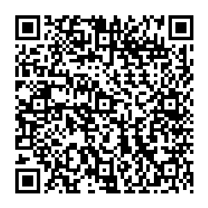 她知道要是凭借格里斯现在的实力虽然说不能将这里的所有的巨龙都杀光但是肯定会死上很多二维码生成