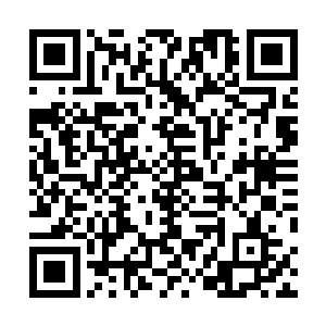 她知道这几个家族一直想要把凌家从城主的宝座上拉下来二维码生成