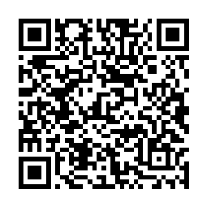 她确定自己不是在某个言情小说中看到的这些名字二维码生成