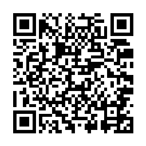 她确认刚才青云给两只狼闻的时候没有沾到这上面二维码生成