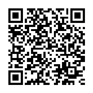 她神魂中的血妖姬之力感受到这种各种负面能量已经苏醒过来二维码生成