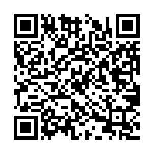 她究竟怎么了……她的人生是不是缺失了一段记忆二维码生成