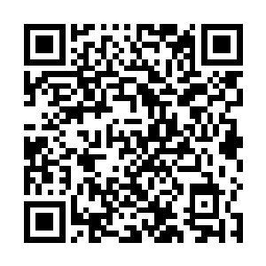 她穿着前两天自己给她在友谊商店里买的那身运动服呢二维码生成