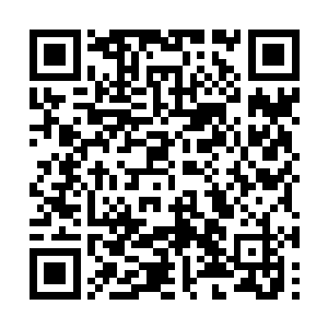 她突然不太确定自己到底是爱的陈烨还是龙天阙了二维码生成